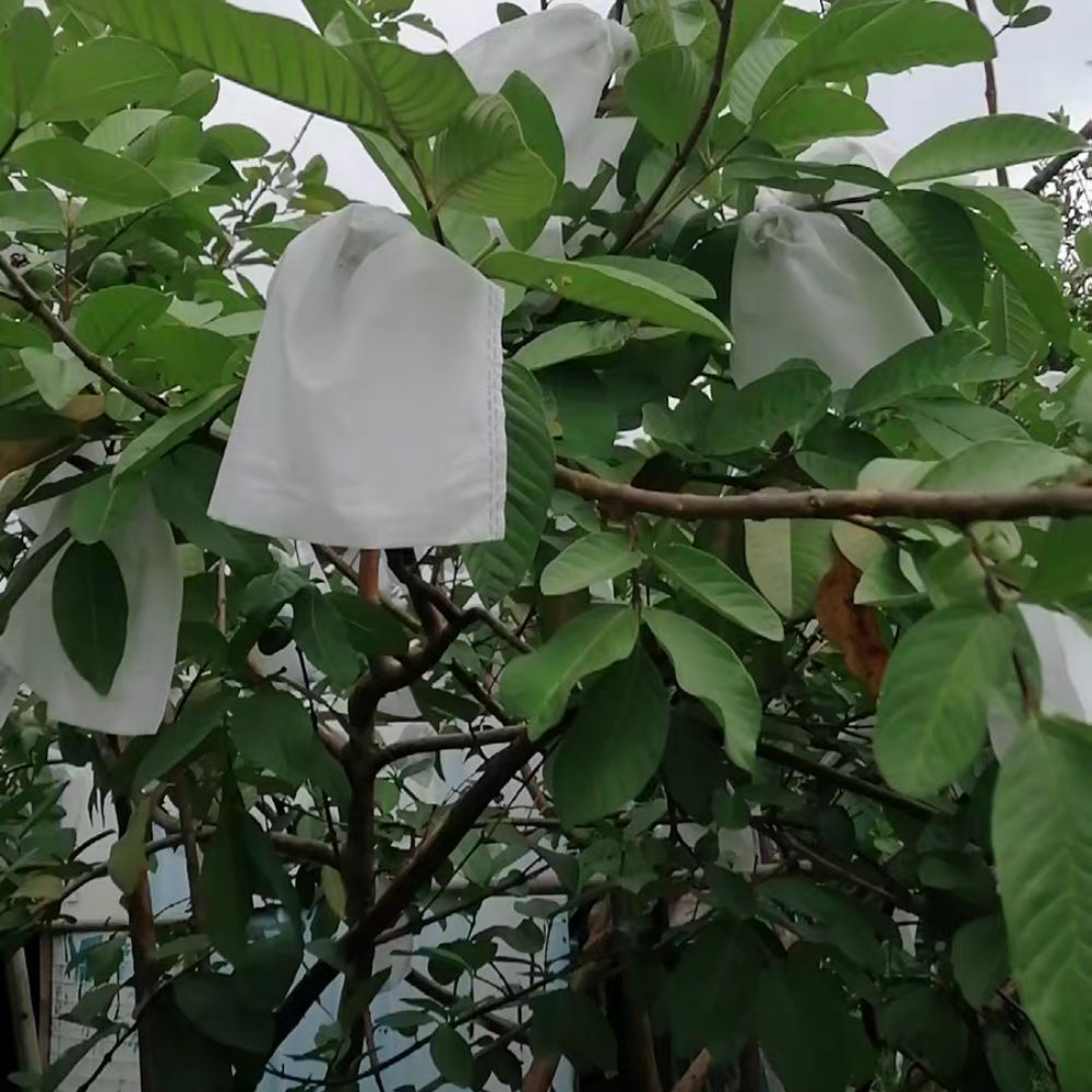Plant covers for winter – Commonly Used for Apples, Pears, Grapes, Mangoes, Pomegranates, Persimmons, and Other Fruits