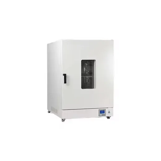 Four de séchage à air rapide forcé numérique durable et facile à nettoyer Chambre en acier inoxydable Four de chauffage de laboratoire à air rapide forcé avec certificat CE ISO BS-LDO-9146A Four de séchage à air rapide forcé numérique durable et facile à nettoyer