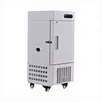 Digital Control Incubator