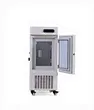 Digital Control Incubator