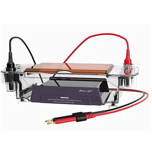 Blue Light Electrophoresis Tank