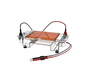 Gel Sample Comb Tray