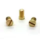 slotted machine screw