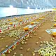 Structure Prefab Modular Design Frame Chicken Poultry Farm House