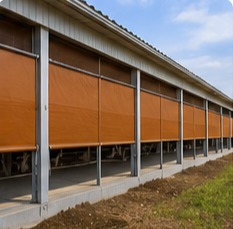 Livestock housing curtains