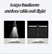 double arm light
