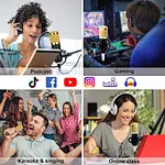 Micrófono de condensador profesional