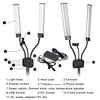 Wimpernlampe