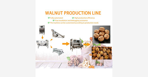 Walnuts Kernel Extraction Line , Walnut Shell and Kernel Separator ...
