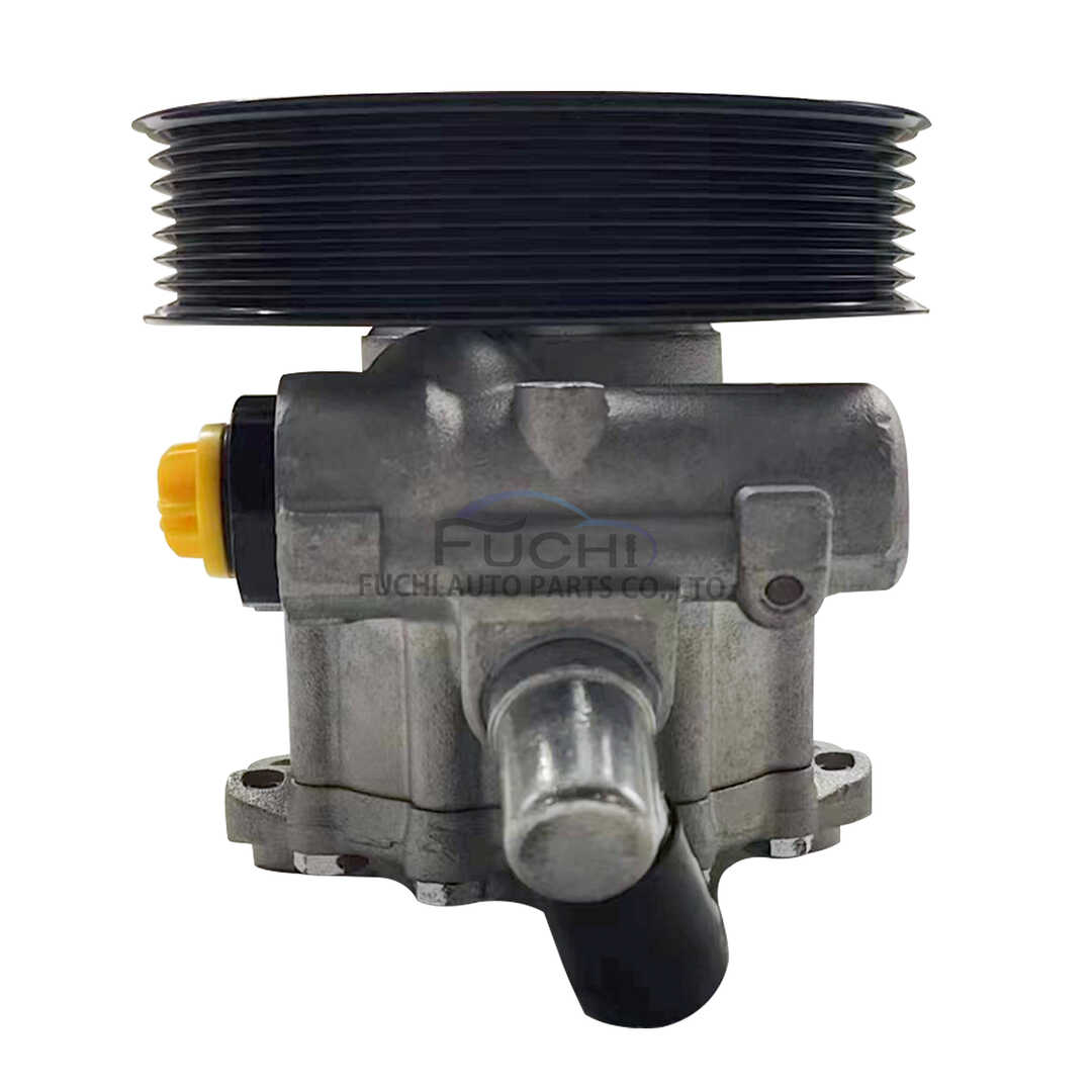 Sprinter W906 Hydraulic Power Steering Pump 0034669301