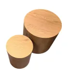 ReliLink-nesting set coffee table