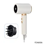 1800-2200W Pro-Series Ionic DC Home Use Blow Dryer
