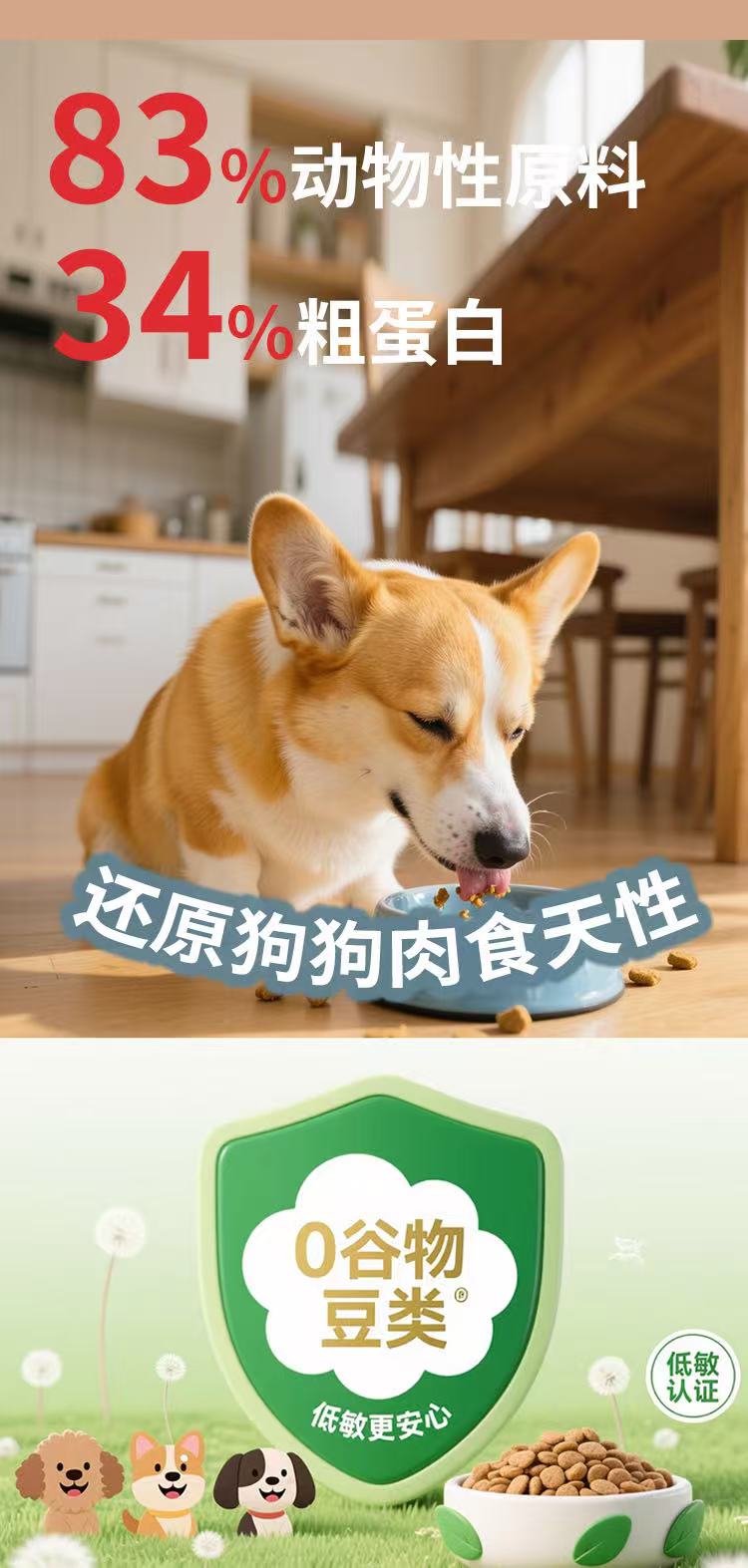 high protein dog kibble