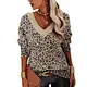 New arrival autumn women's knitted sweater with leopard print, V-neck, long sleeve and loose casual fit. Soft, stylish and comfortable for daily wear.