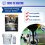 condensation silicone impression material