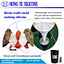 liquid silicone rubber for making mold
condensation  concrete statue molding silicone
silicone rubber mold for concrete statue reduplication