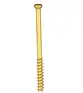 Cannulated Screws
