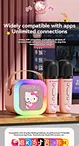 Hello kitty Bluetooth karaoke speaker with two  mini wireless microphones for kids