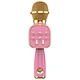 Portable USB Wireless Microphone for Kids Handheld Singing Device for Girls and Boys for Karaoke
