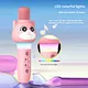 Portable Singing Mic with Noise Reduction