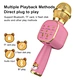 Handheld Singing Mic with Voice Effects for Family Party