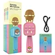 Handheld Singing Mic with Voice Effects for Family Party