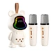 OEM karaoke bluetooth  speaker with two microphones for home party