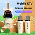 OEM karaoke bluetooth  speaker with two microphones for home party