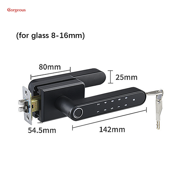 Main Door Locks