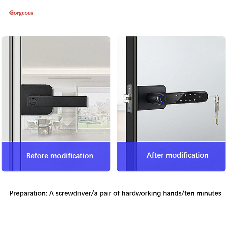 Main Door Locks
