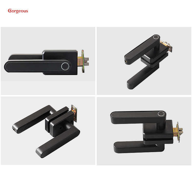 Main Door Locks