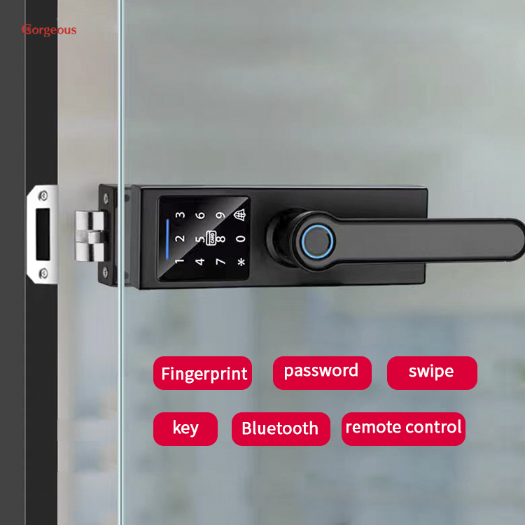 Smart Door Lock