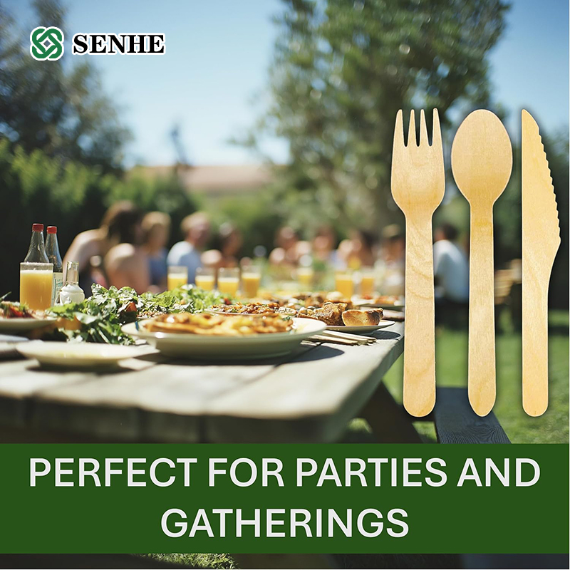 Disposable Cutlery set