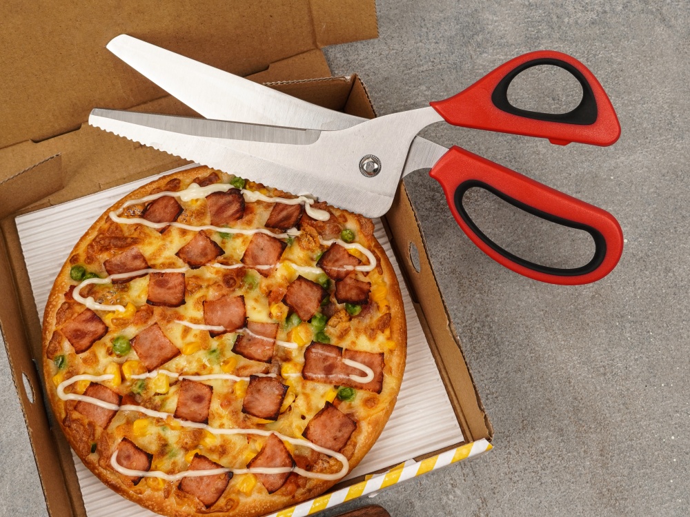 FASAKA stainless steel pizza scissors with detachable serrated blades