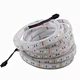 DC12V IP68 Rated Copper LED Light Strip Epistar Chips RGB  strip
