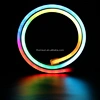 24V Super Bright RGB LED Digital Silicone Neon Flex Strip IP67