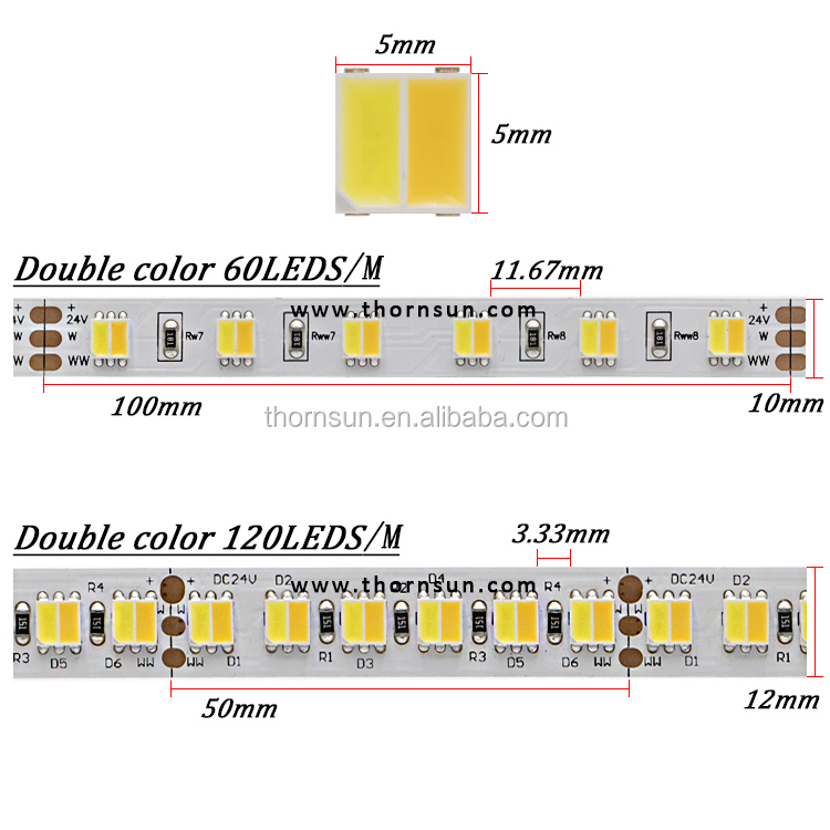 SMD5050 dual color
