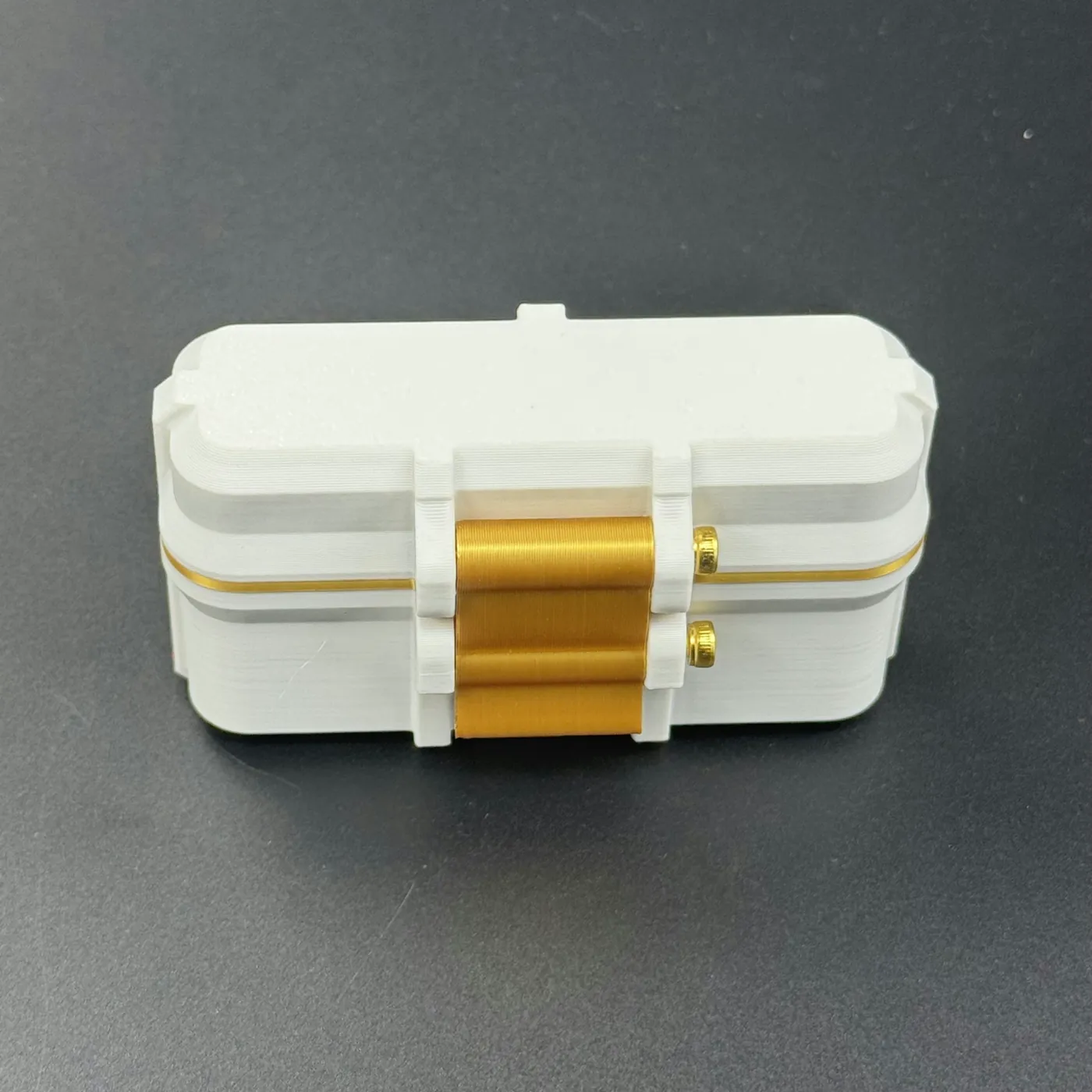 open 4 slot linear vial case showing the foam-lined lid, over-centre latch strap and gold insert