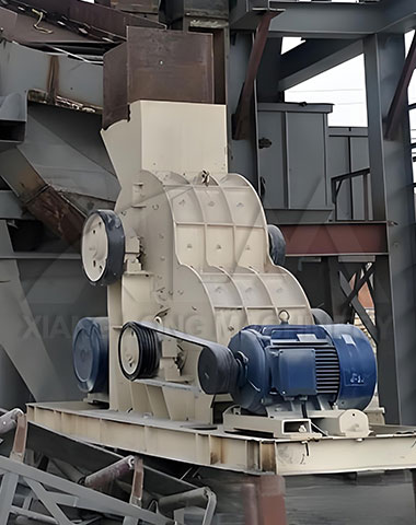 Double-Rotor Crusher for tailings processing - XiangLong Machinery
