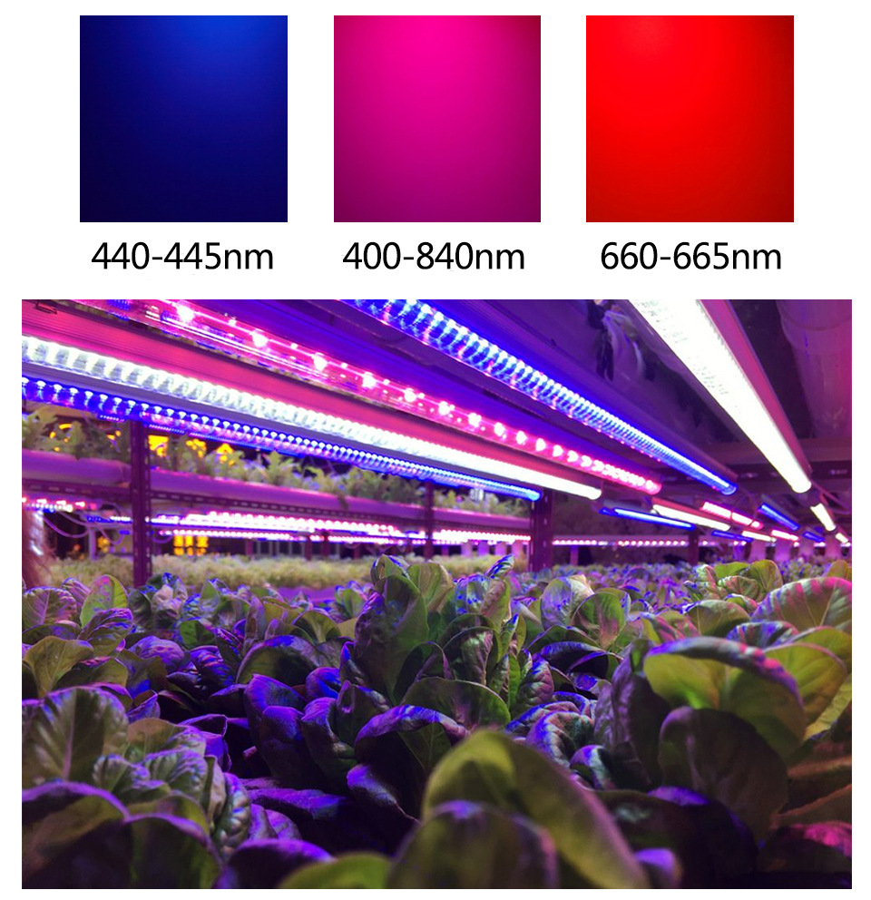 Grow light led chip cob full spectrum 100w led cob full spectrum 50w