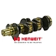 High Quality Crankshaft for ENGINE 4BT 4B3.9 3929036 3903827 3903830 3907803 3960621