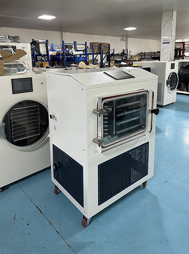 Angled left view of a white square-chamber laboratory freeze dryer inside a factory workshop with blue floors and shelves.