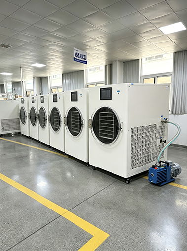 Geliss freeze dryer factory manufacturing facility production line - multiple finished white home lyophilizer units undergoing quality control checks inside the dedicated finished product testing area