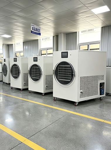 Geliss freeze dryer factory production facility - a row of multiple finished white lyophilizer units undergoing quality control checks inside the dedicated finished product testing area