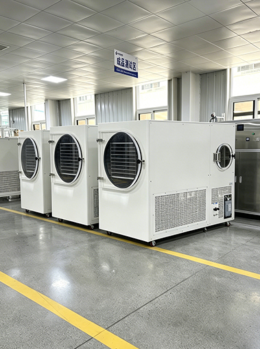 Real factory workshop shot of a row of Geliss freeze dryer machines lined up in the finished product testing area.