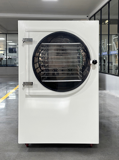 Front view real shot of Geliss freeze dryer machine in a factory workshop, featuring clear plexiglass door and steel drying rack.