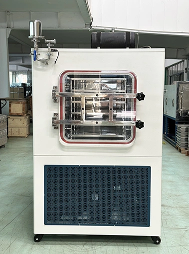 Front view real shot of a large white vacuum freeze dryer on a factory floor, showing its square chamber door and blue ventilation grille.