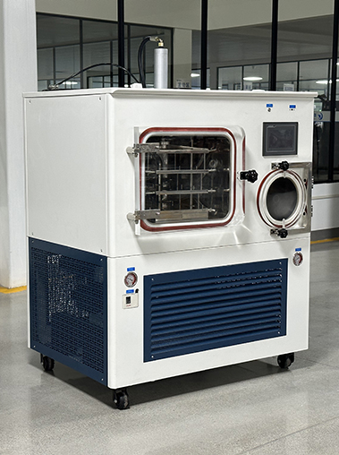 Front view real shot of a wide cabinet vacuum freeze dryer with a side-by-side square drying chamber, circular cold trap window, and blue vents.