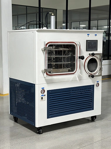 Front view real shot of a wide cabinet vacuum freeze dryer with a side-by-side square drying chamber, circular cold trap window, and blue vents.
