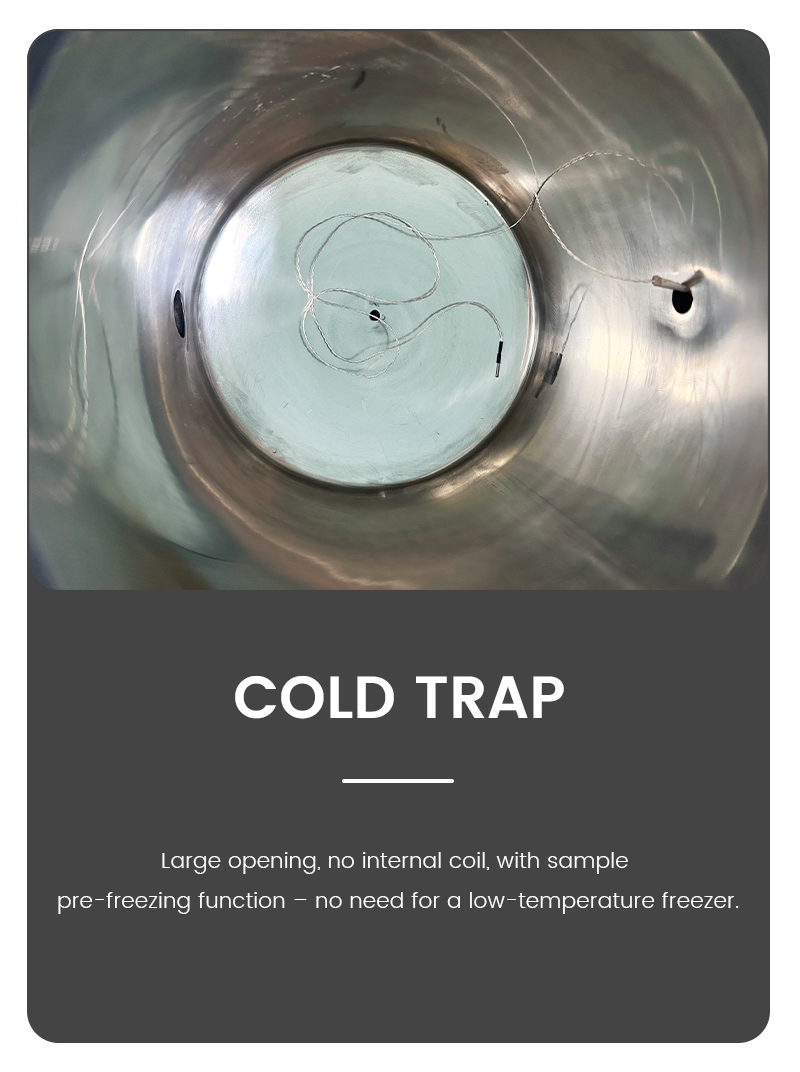 Infographic showing the large opening stainless steel cold trap of a lyophilizer, designed with no internal coil for sample pre-freezing.